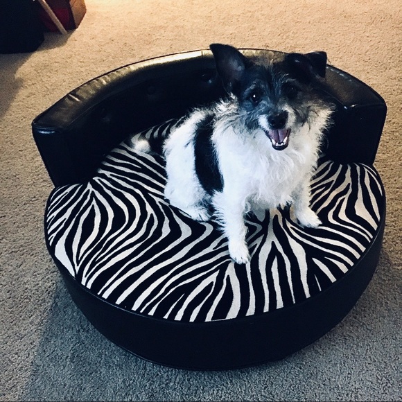 Meet your Posher, Vanessa! - Picture 4 of 11